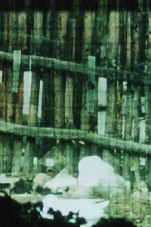 Poster for The Loom
