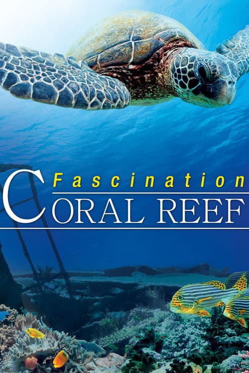 Poster for Fascination Coral Reef