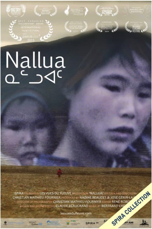 Poster for Nallua