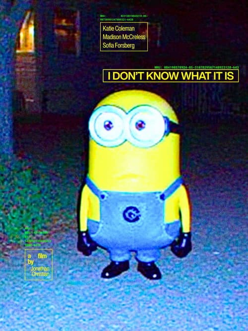 Poster for I Don't Know What It Is