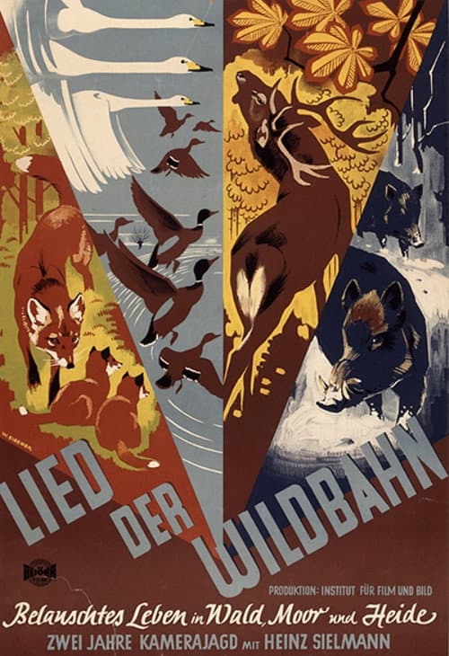 Poster for Lied der Wildbahn