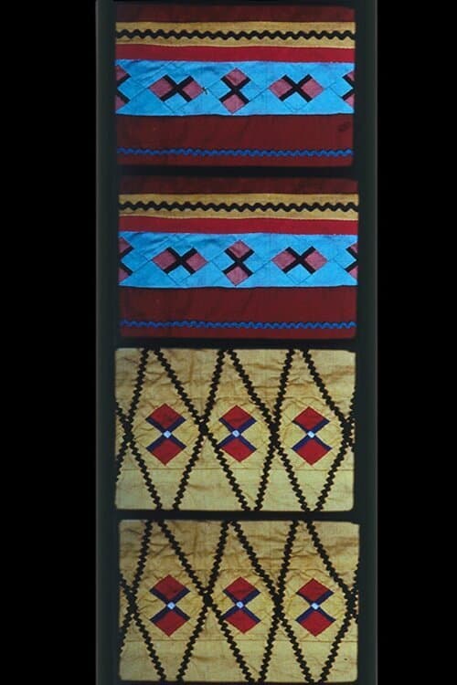 Постер до фільму «No. 15: Untitled Animation of Seminole Patchwork Film»
