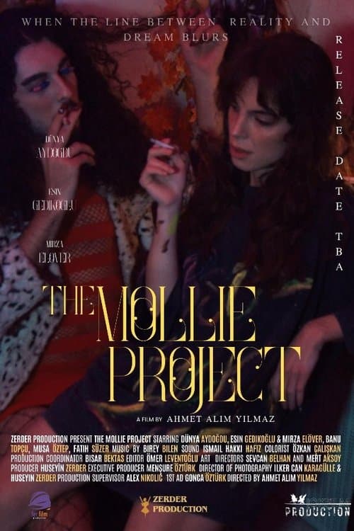 Постер до фільму «The Mollie Project»