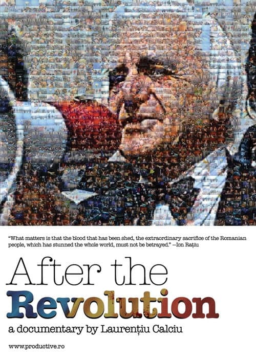 Poster for After the Revolution