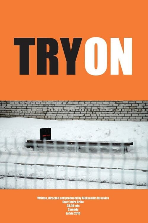 Poster for Try On