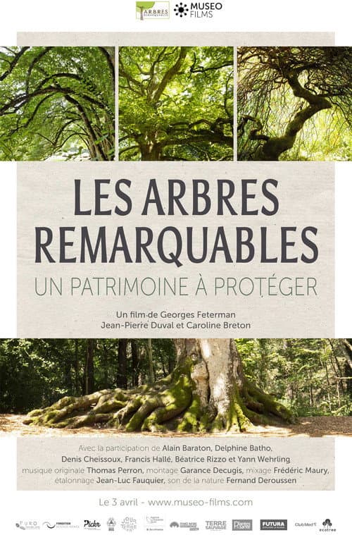 Poster for Les arbres remarquables, un patrimoine à protéger