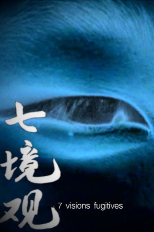 Poster for Seven Fugitive Images