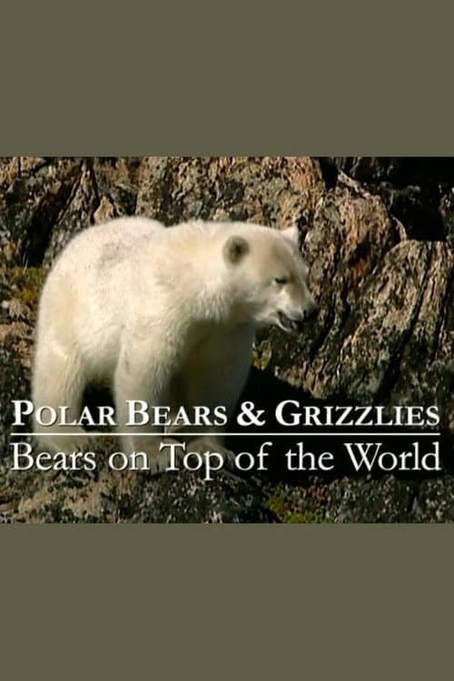 Poster for Polar Bears & Grizzlies: Bears on Top of the World