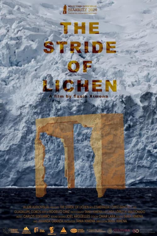 Poster for The Stride of Lichen