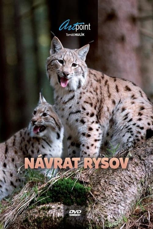 Poster for Návrat rysov