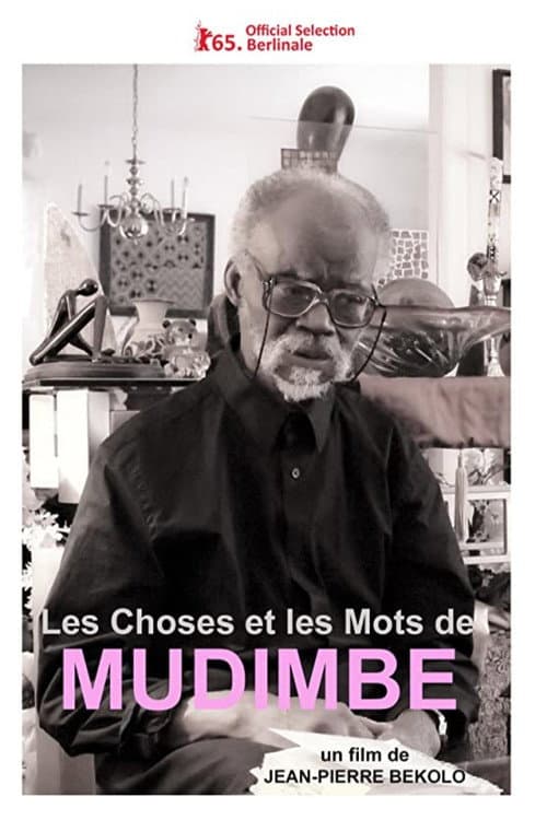 Poster for Mudimbe's Order of Things