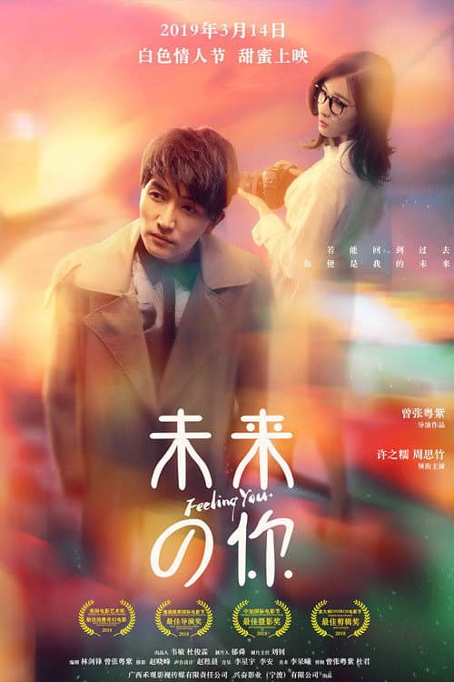 Poster for Feeling You