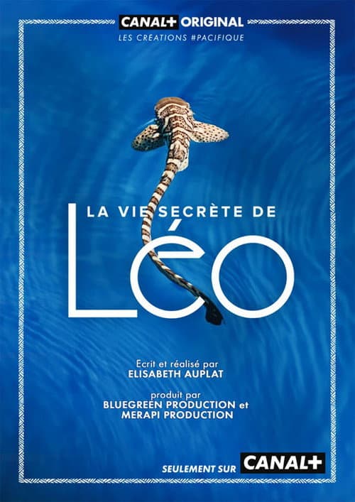 Poster for La Vie secrète de Léo
