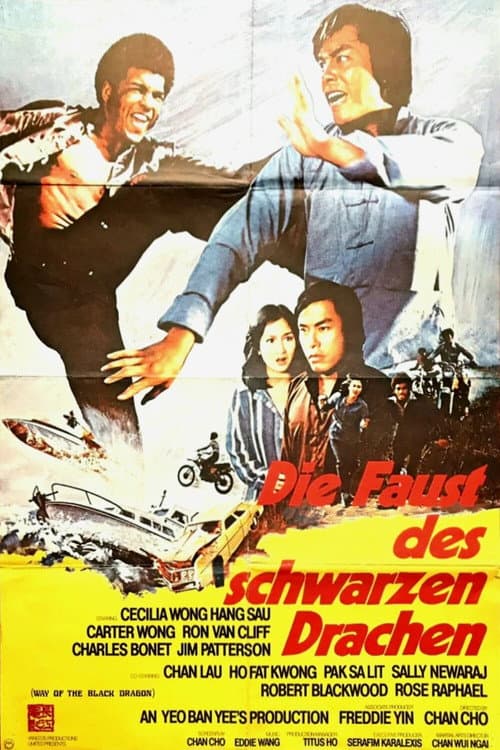 Poster for Way of the Black Dragon