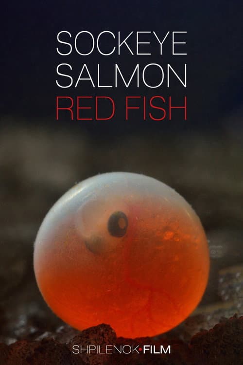 Poster for Sockeye Salmon. Red Fish