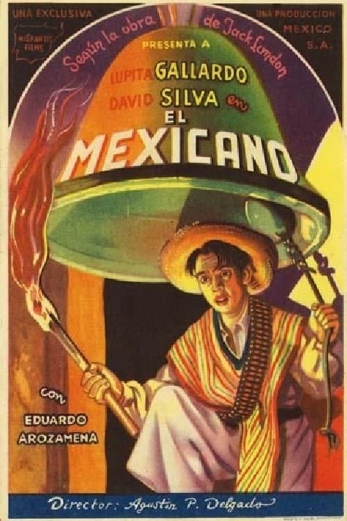 Poster for The Mexican