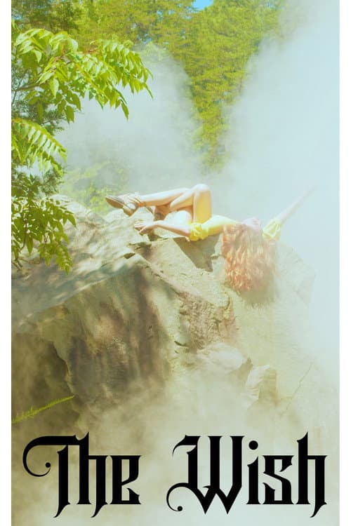 Poster for The Wish