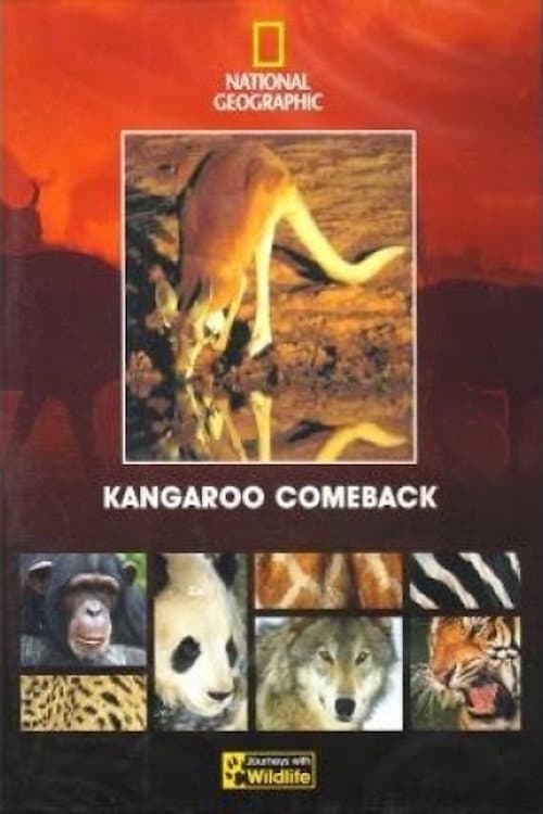 Poster for Kangaroo Comeback