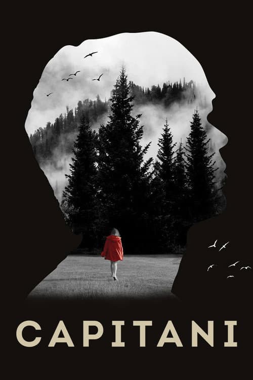 Poster for Capitani