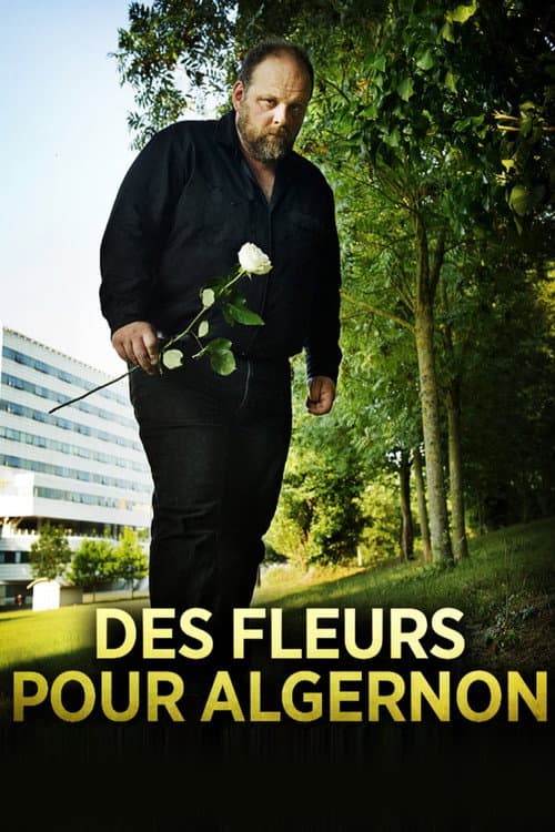 Poster for Flowers for Algernon