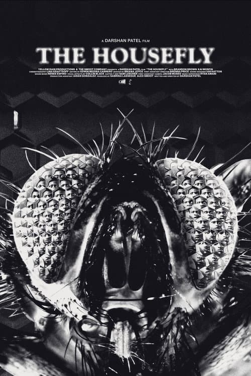 Poster for The Housefly
