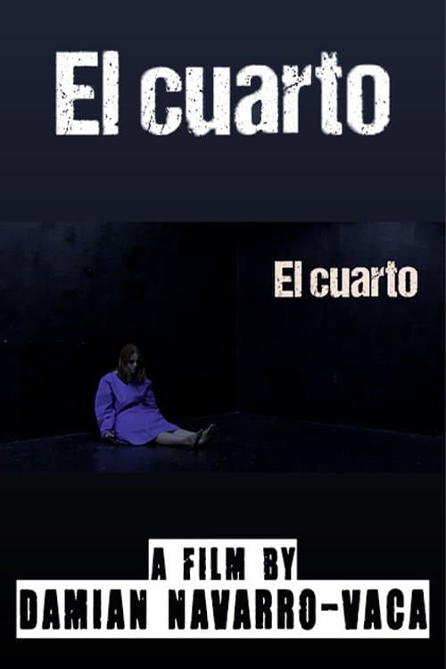 Poster for The room
