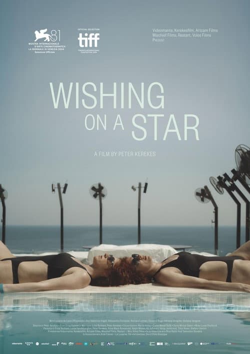 Poster for Wishing on a Star
