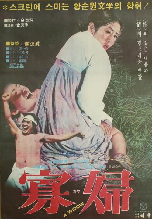 Poster for A Widow