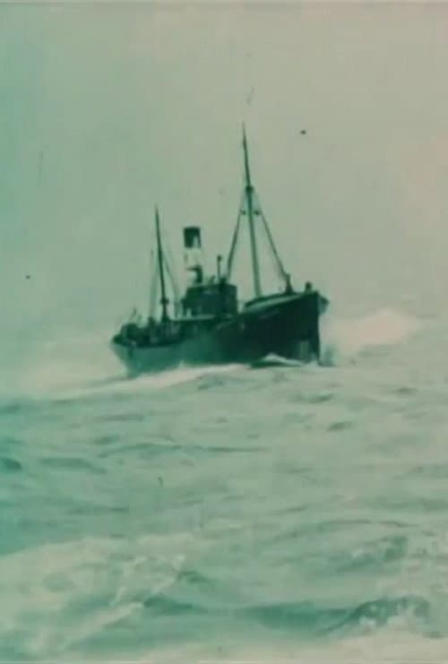 Poster for A Trip to the White Sea Fisheries