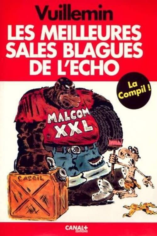 Poster for Les Sales Blagues de l'Echo