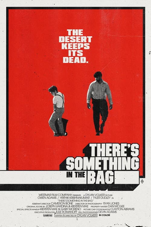 Poster for There's Something in the Bag