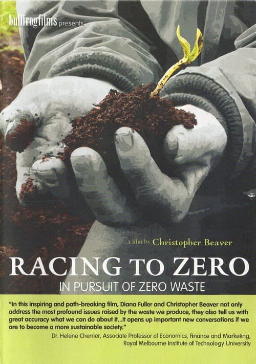 Poster for Racing To Zero