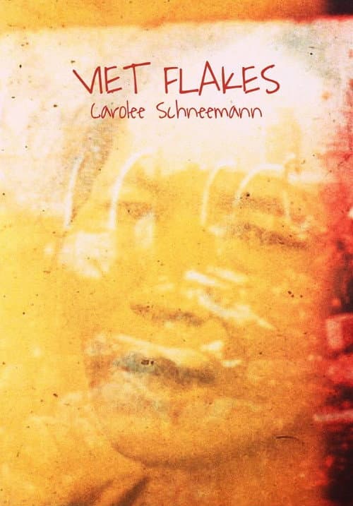 Poster for Viet Flakes