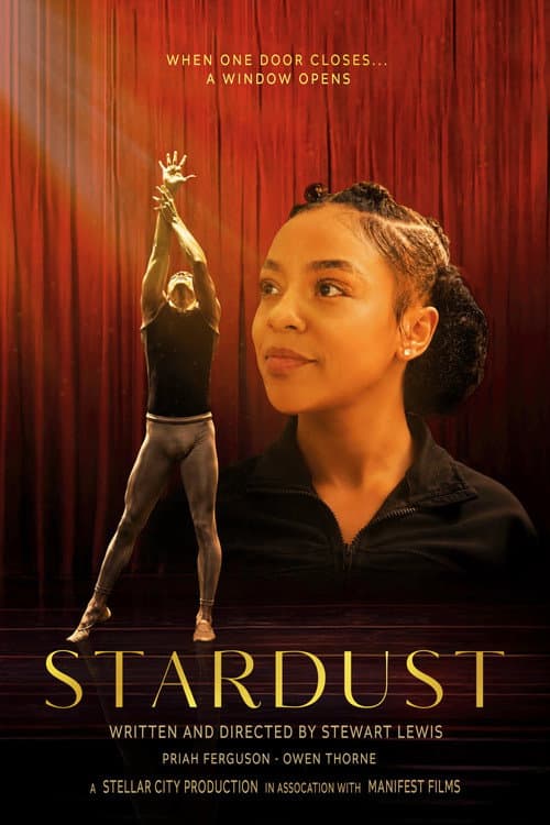 Poster for Stardust