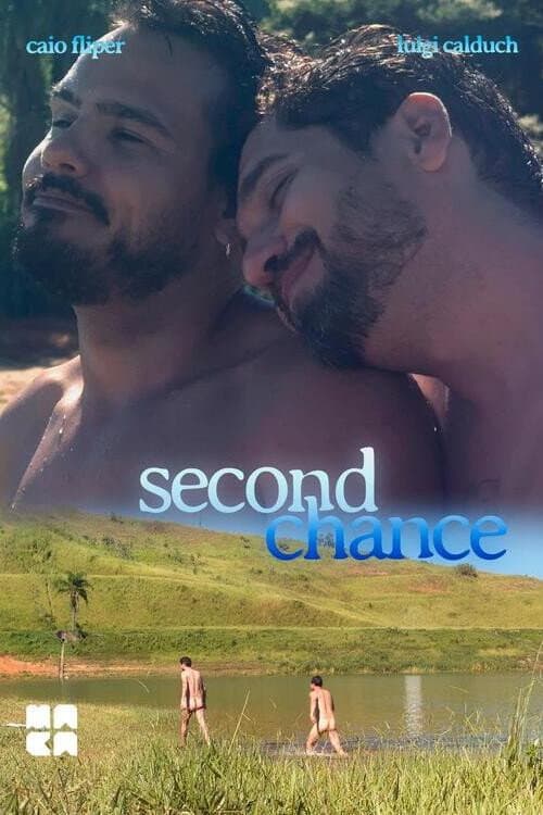 Poster for Second Chance