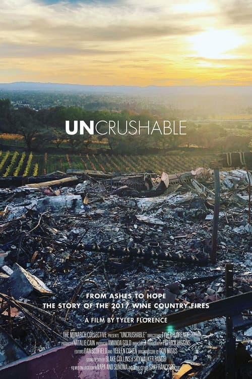 Poster for Uncrushable