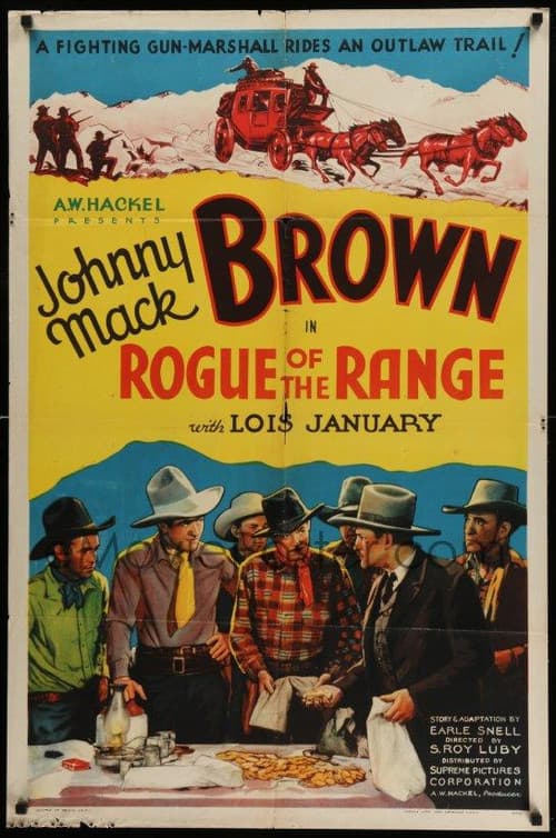 Poster for Rogue of the Range