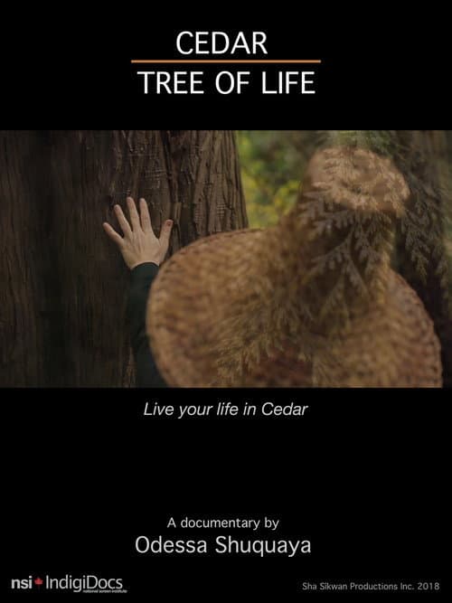 Poster for Cedar Tree of Life