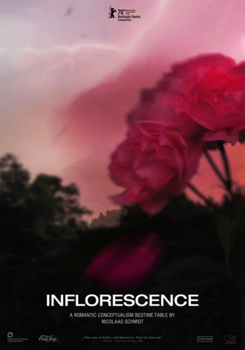 Poster for Inflorescence