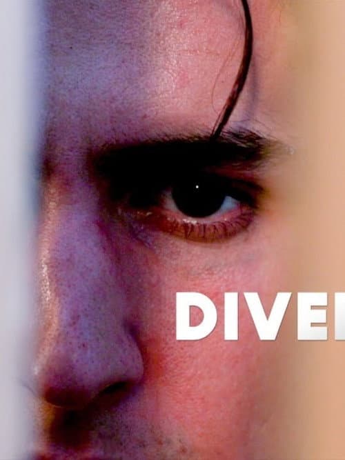 Poster for Diversion