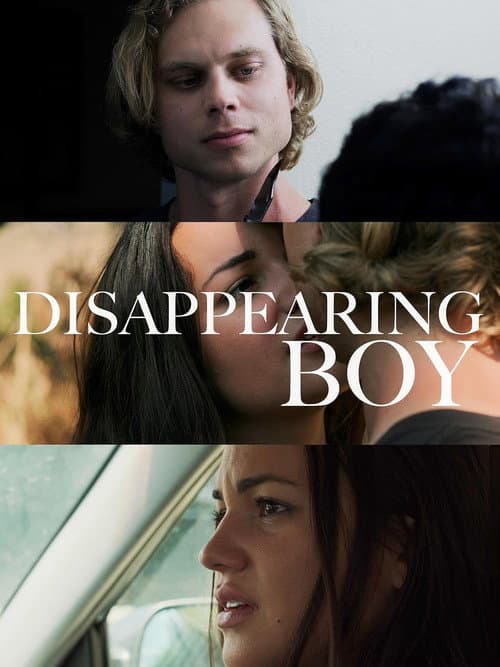Poster for Disappearing Boy