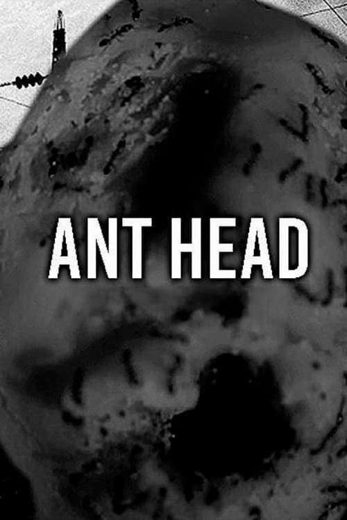Poster for Ant Head