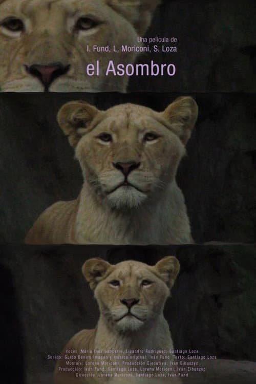 Poster for El asombro