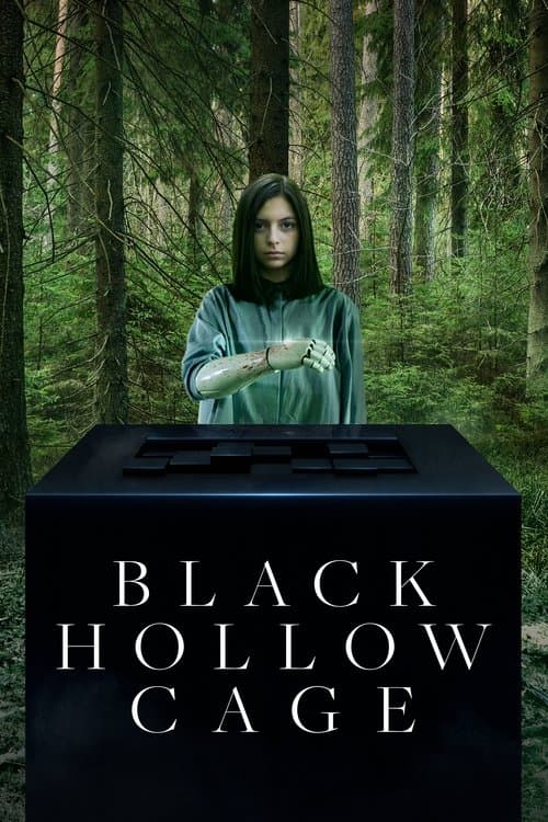 Poster for Black Hollow Cage