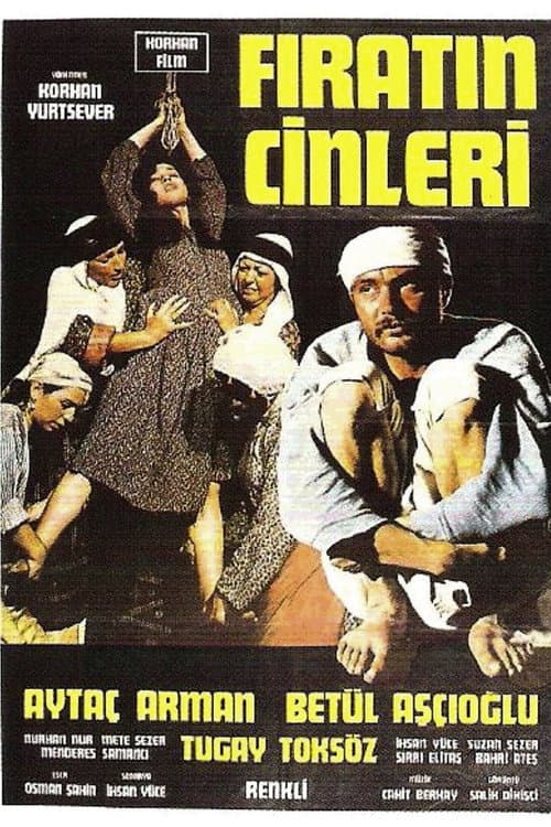 Poster for Fırat'ın Cinleri