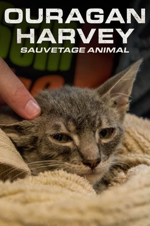 Poster for Surviving Harvey: Animals After the Storm