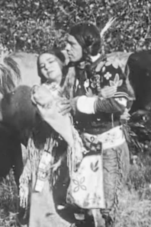 Poster for The Cheyenne's Bride