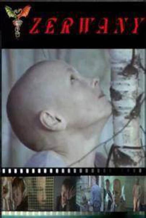 Poster for Torn
