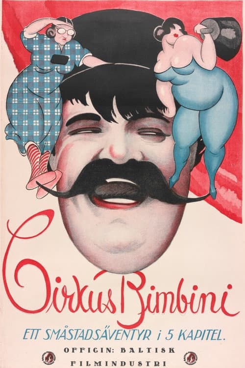 Poster for The Bimbini Circus