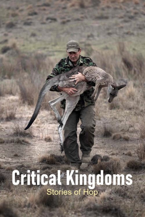 Poster for Critical Kingdoms: Stories of Hope